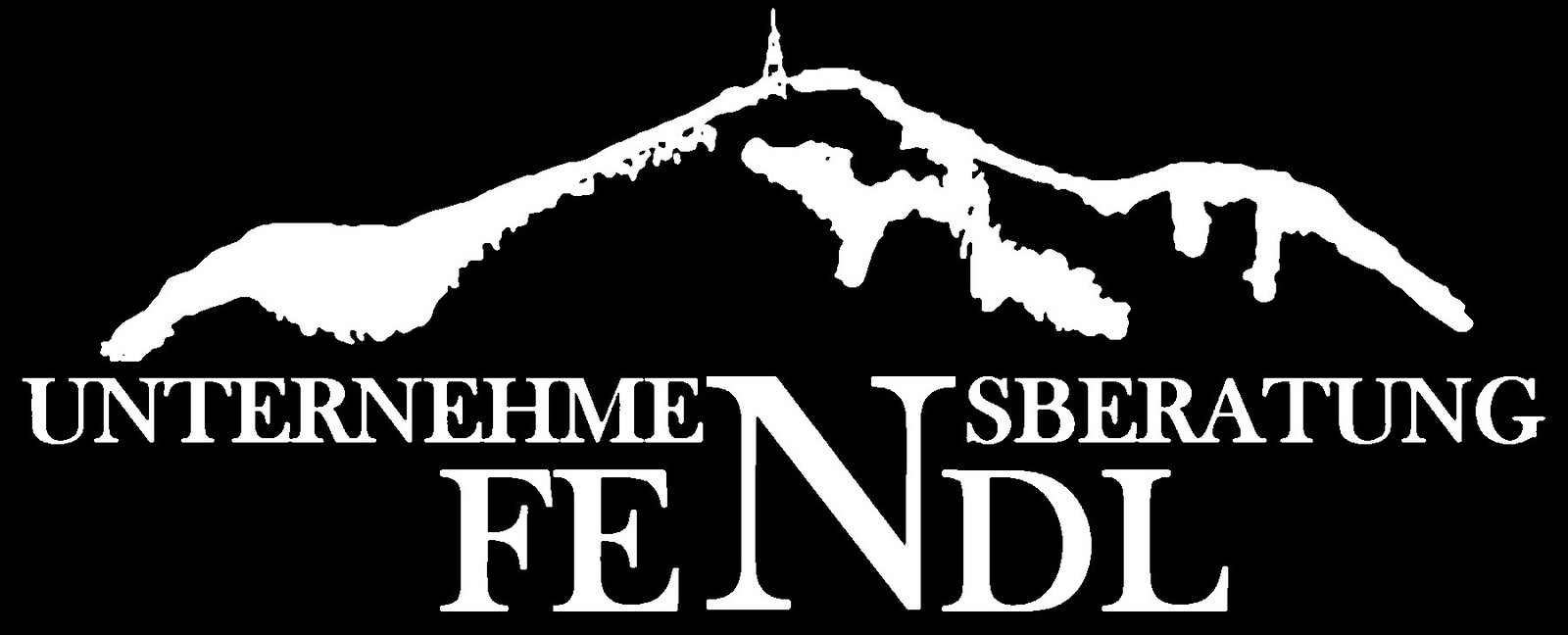 Unternehmensberatung Fendl